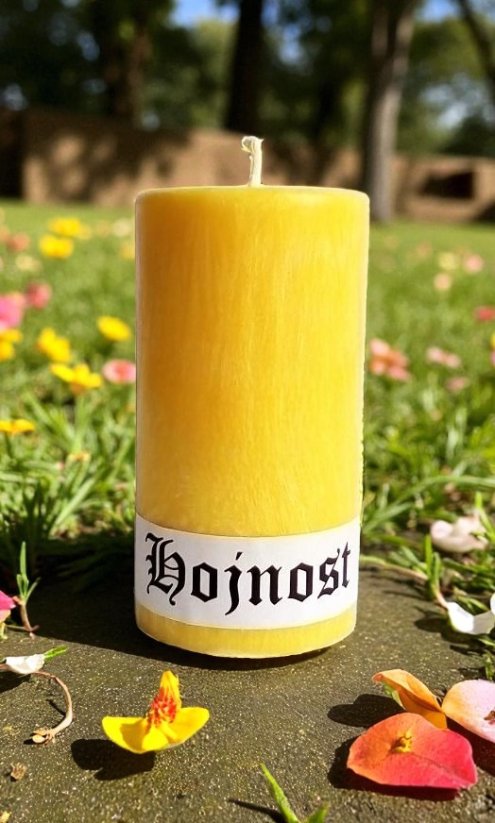 Energetická svíčka - Hojnost